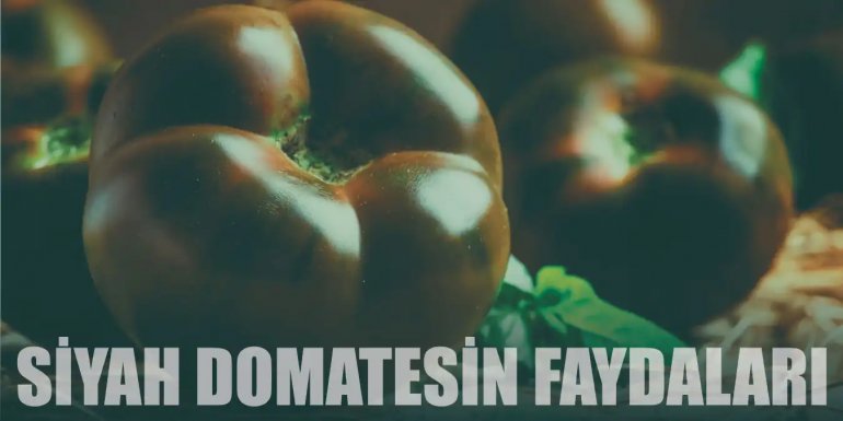 Toksin Düşmanı Siyah Domatesin 6 Faydası