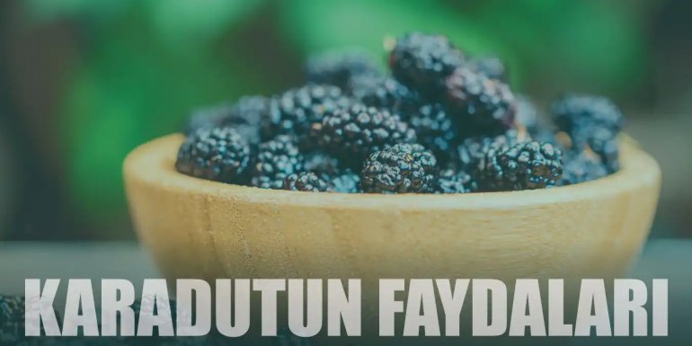 Antioksidan Dolu Karadutun 10 Faydası