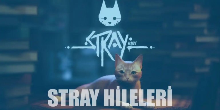 Stray Hileleri | Ölümsüzlük, Görünmezlik, Uçma Hilesi