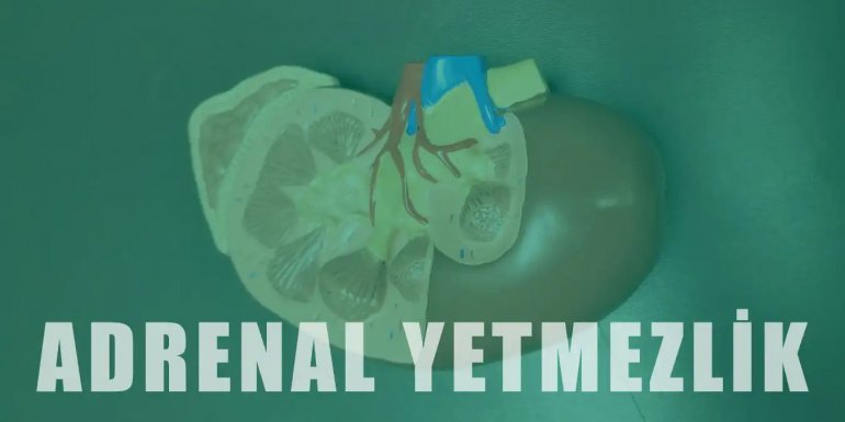 Adrenal Yetmezlik (Addison) Nedir, Belirtileri Nelerdir?