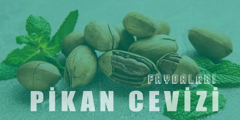 Vitamin Dolu Pikan Cevizi Nedir, Sağlığa Faydaları Nelerdir?