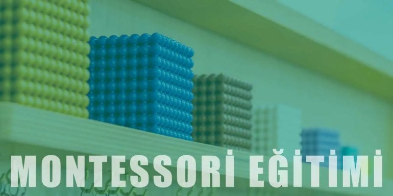 Montessori Eğitimi | İlkeleri ve Özellikleri Nelerdir?