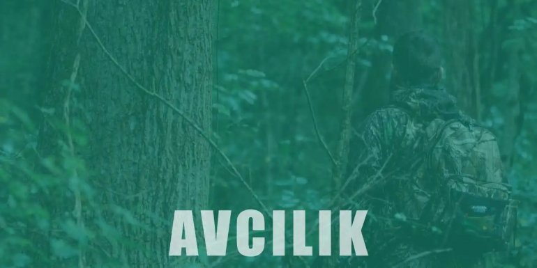 Avcılık Nedir? Tarihi, Sezonları ve Yöntemleri