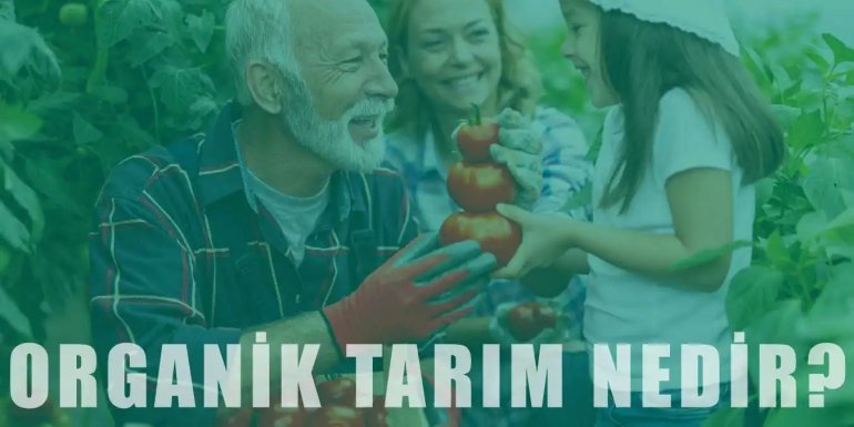 Organik Tarım Nedir, Nasıl Yapılır? Özellikleri ve Faydaları