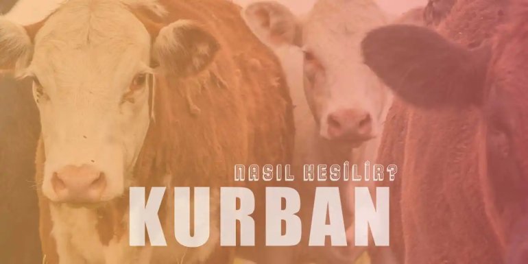 Kurban Kesimi | Kurban Nasıl Kesilir?