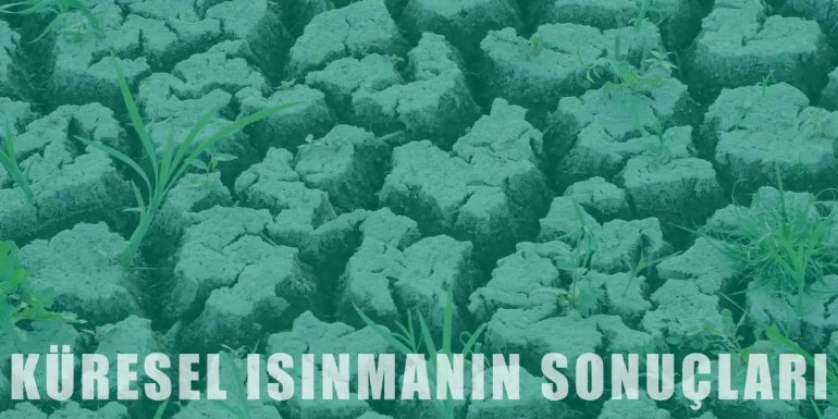 Geleceğimizin Kabusu Küresel Isınmanın Olası Sonuçları