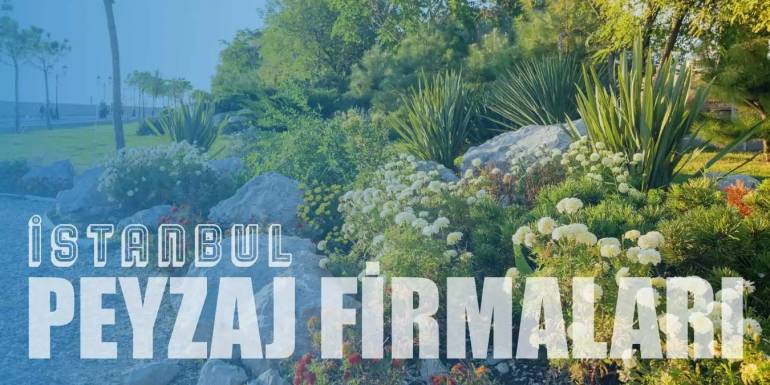 İstanbul'un En İyi Peyzaj Firmaları