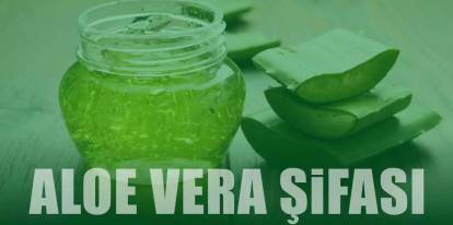 Aloe Vera Faydalar ve Kullanm: Cilt, Sa ve Detoks iin Mucizevi Bitki