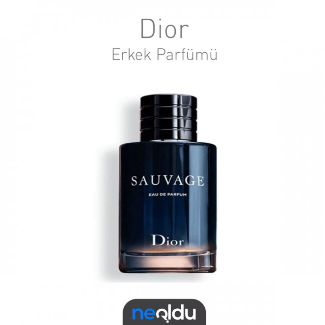 Dior Sauvage erkek kış parfümü, ferah ve baharatlı kokusuyla öne çıkar