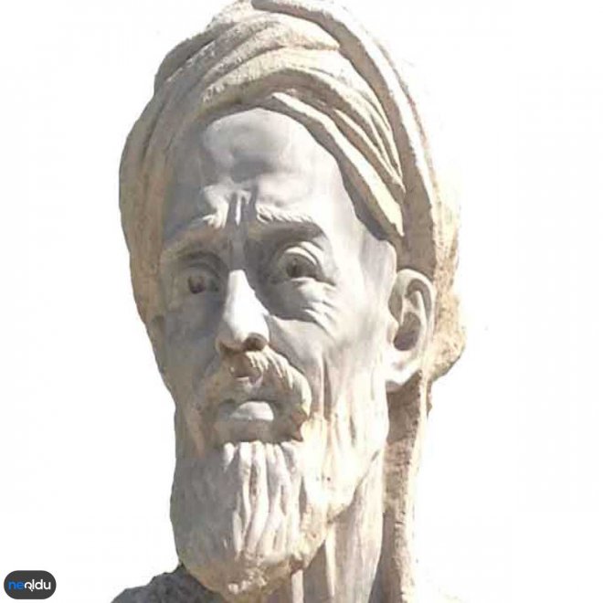 Avicenna Ne Demek