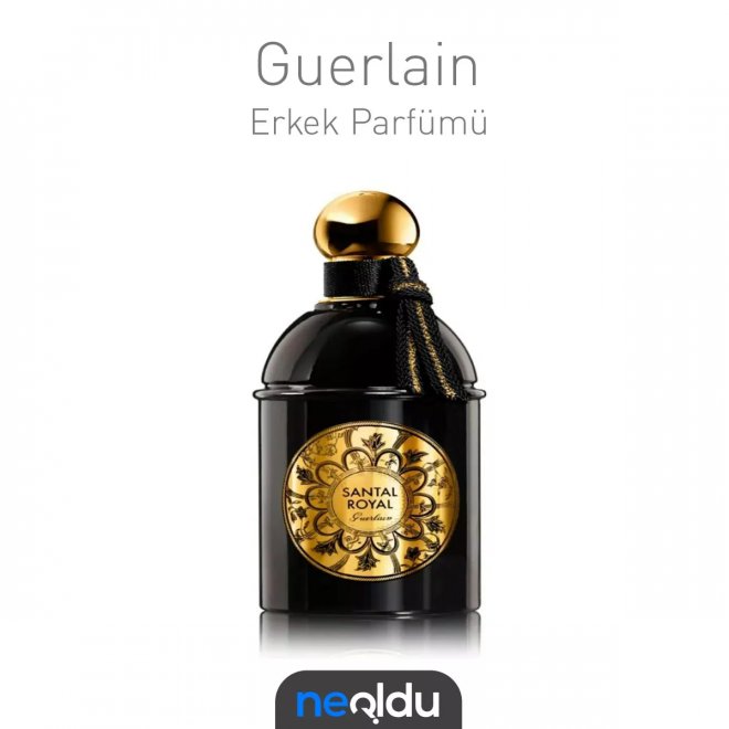 Guerlain Santal Royal erkek kış parfümü, odunsu ve oryantal notaları ile dikkat çeker