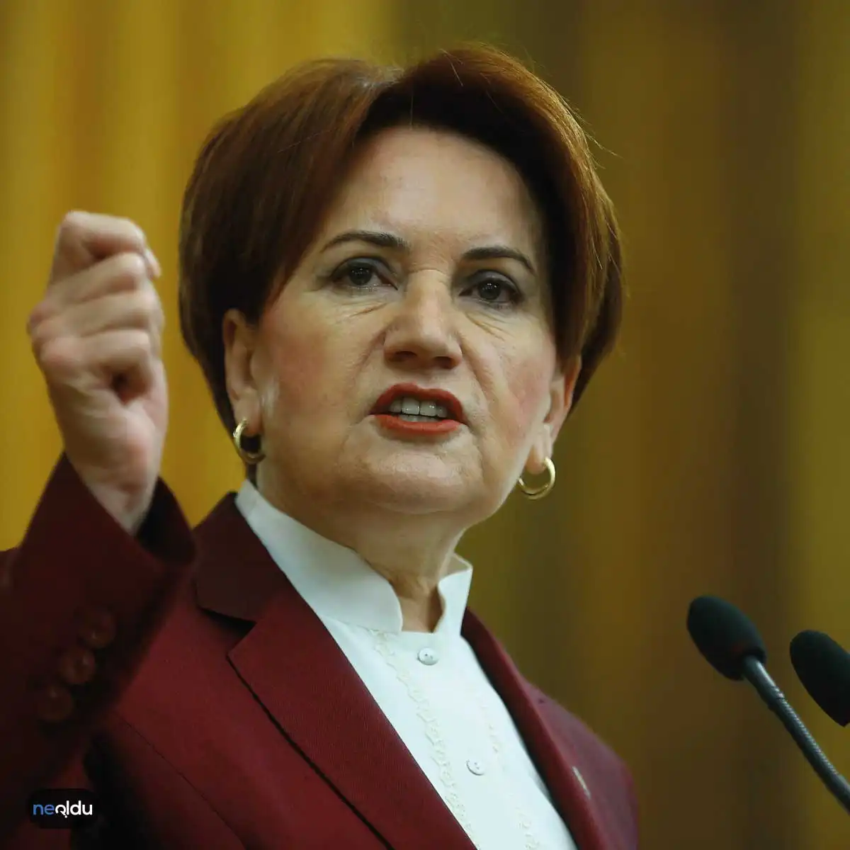 Meral Akşener Kimdir?