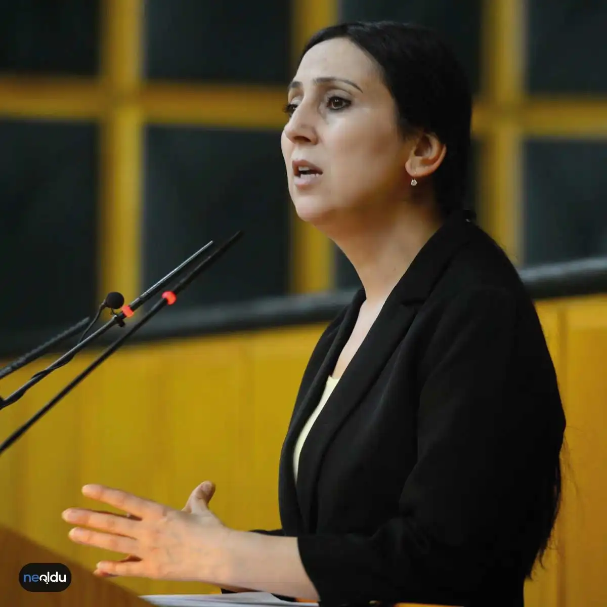 Fiden Yüksekdağ Kimdir?