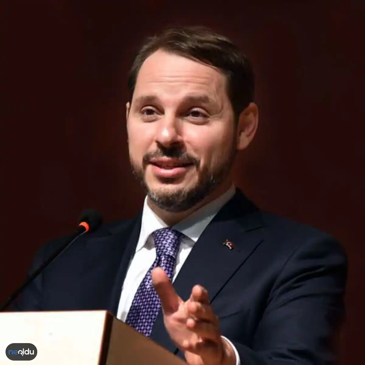 Berat Albayrak Kimdir?