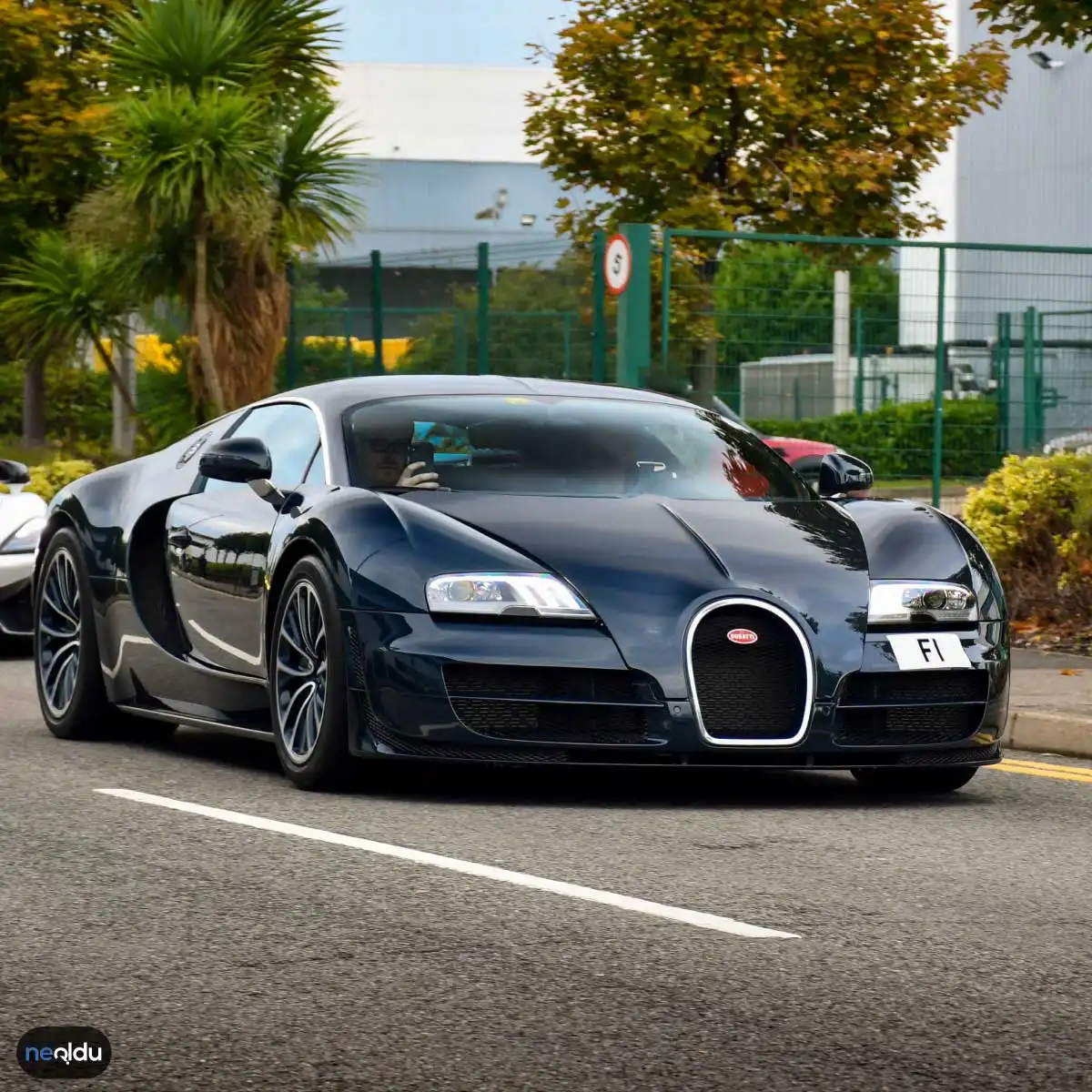 Bugatti Veyron Modeli