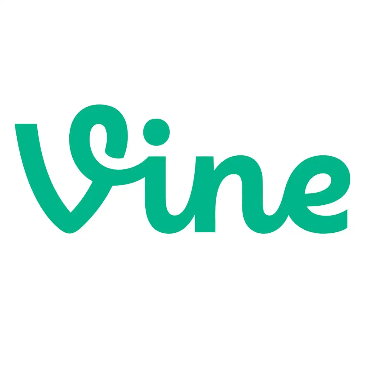 Vine Hakkında Bilgiler