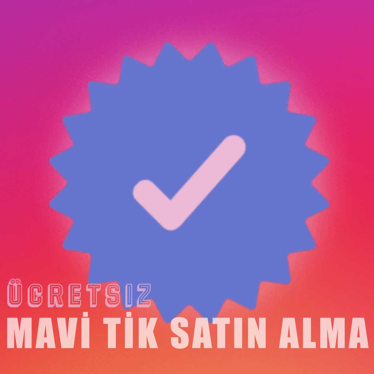 Instagram Mavi Tik Başvurusu