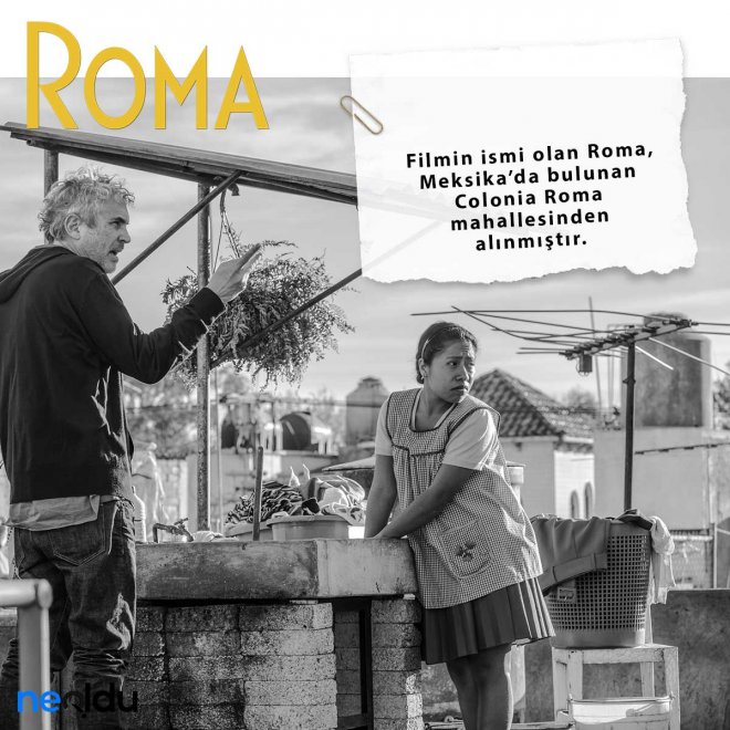 Roma filmi gişe