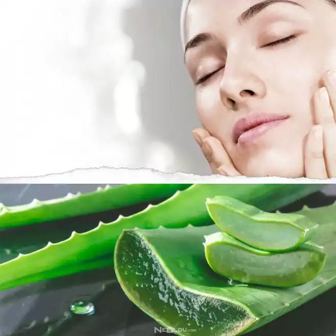 Aloe vera ile cilt yağını dengeleme