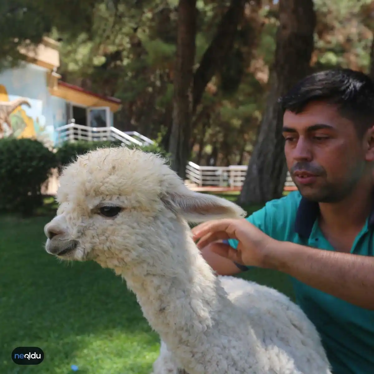 Türkiye'nin En İyi Hayvanat Bahçeleri