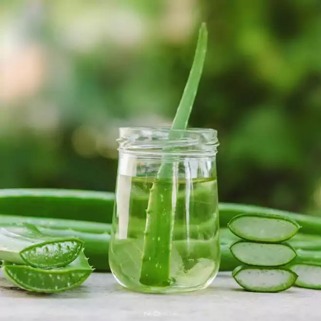 Aloe Vera Çayı