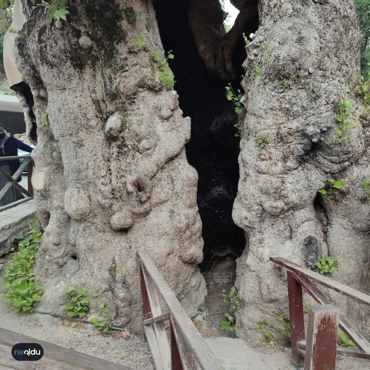 Hatay'da Gezilmesi Gereken Yerler