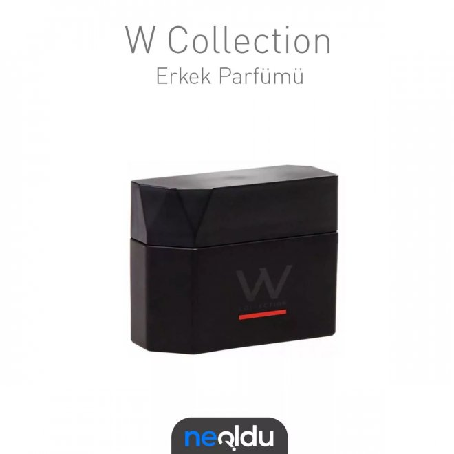 W Collection erkek kış parfümü, odunsu ve ferah notaları ile etkileyici