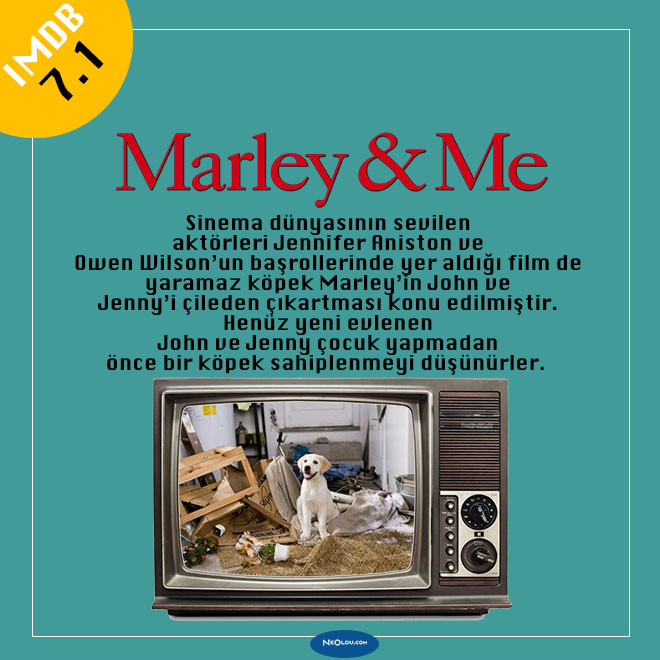 köpek filmleri