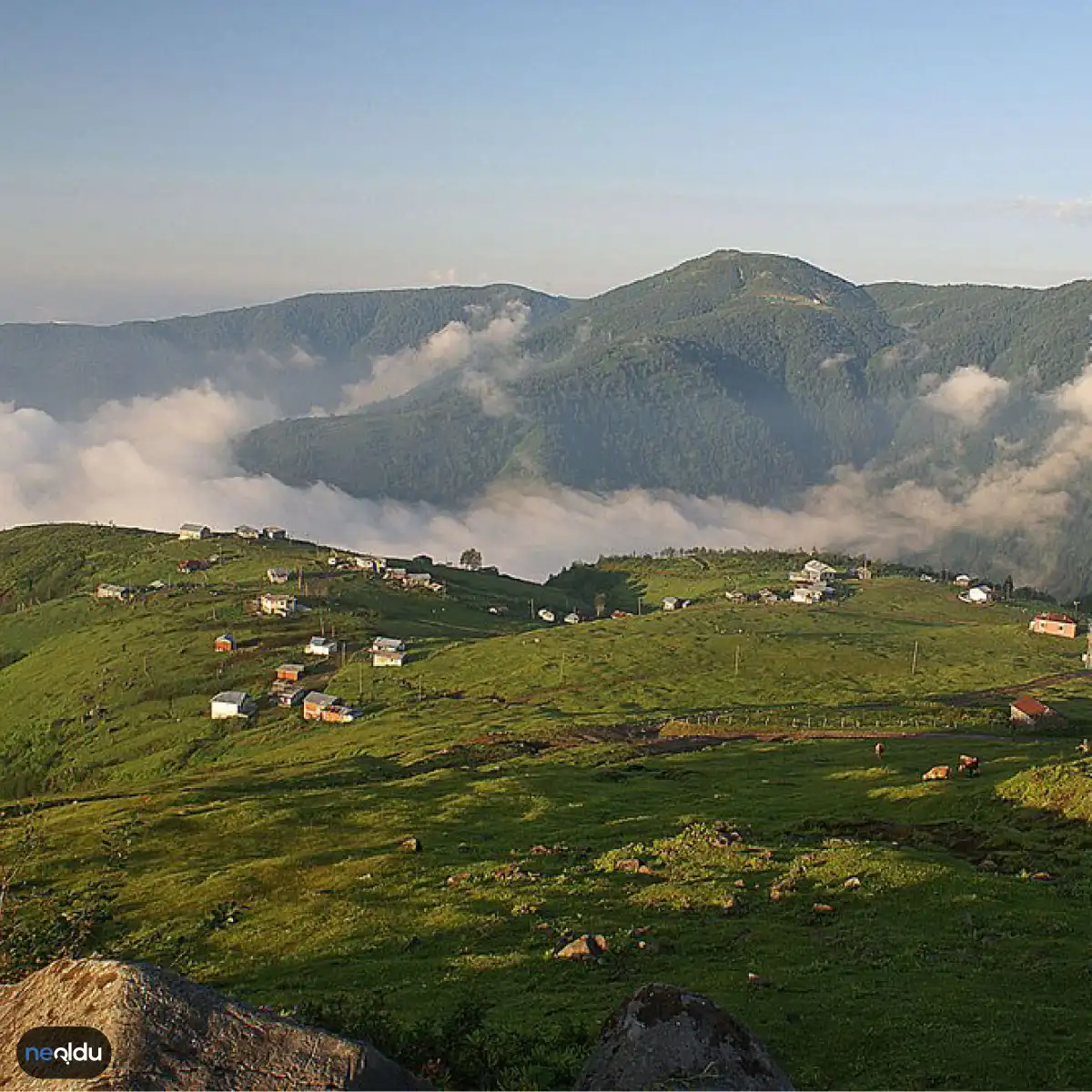 Rize'de Gezilecek Yerler