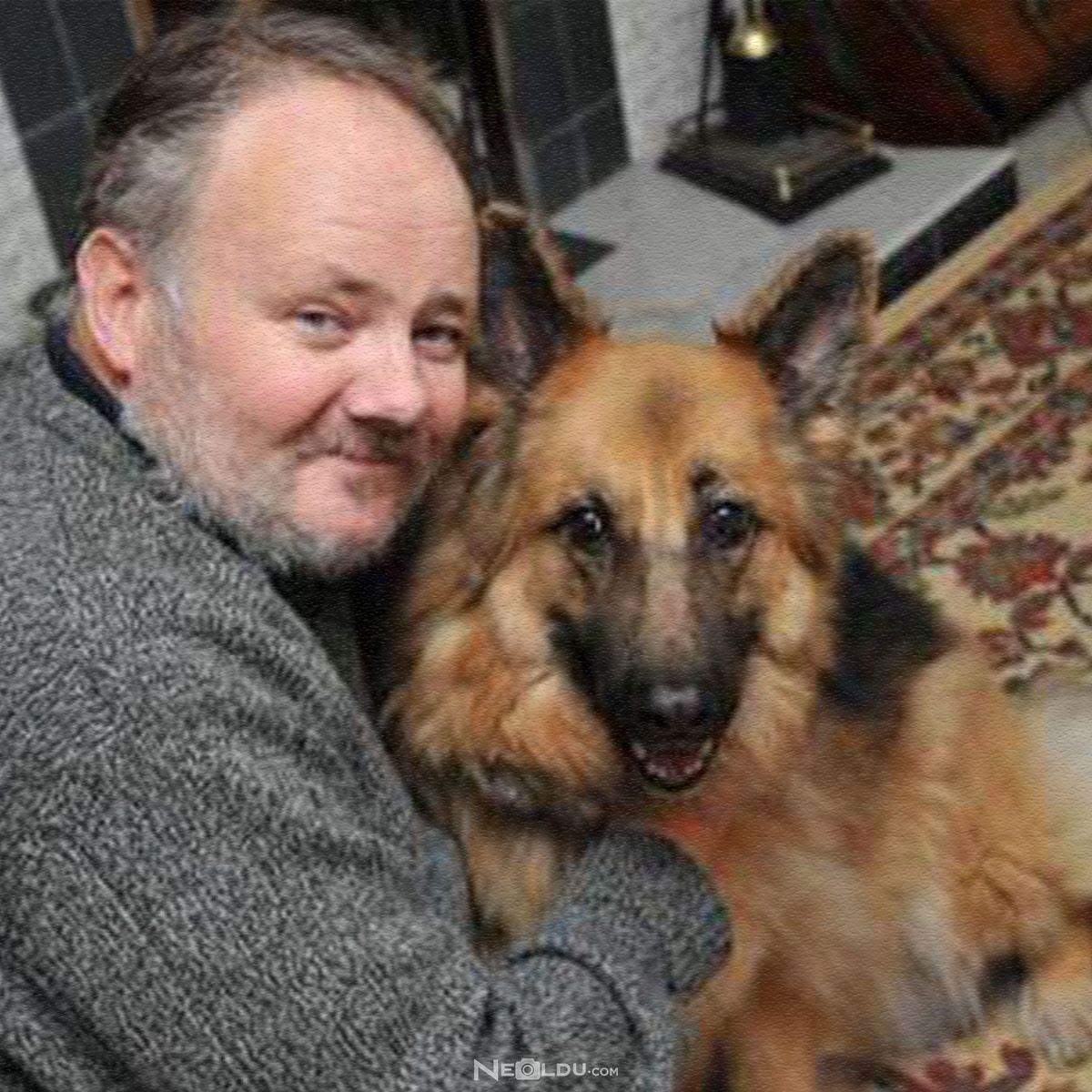Sizin İçin Hangi Köpek Irkı Uygun?