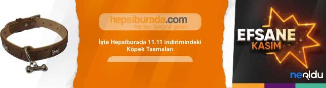 Köpek Tasmaları