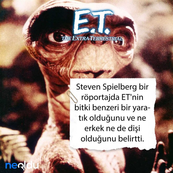 12-291.jpg