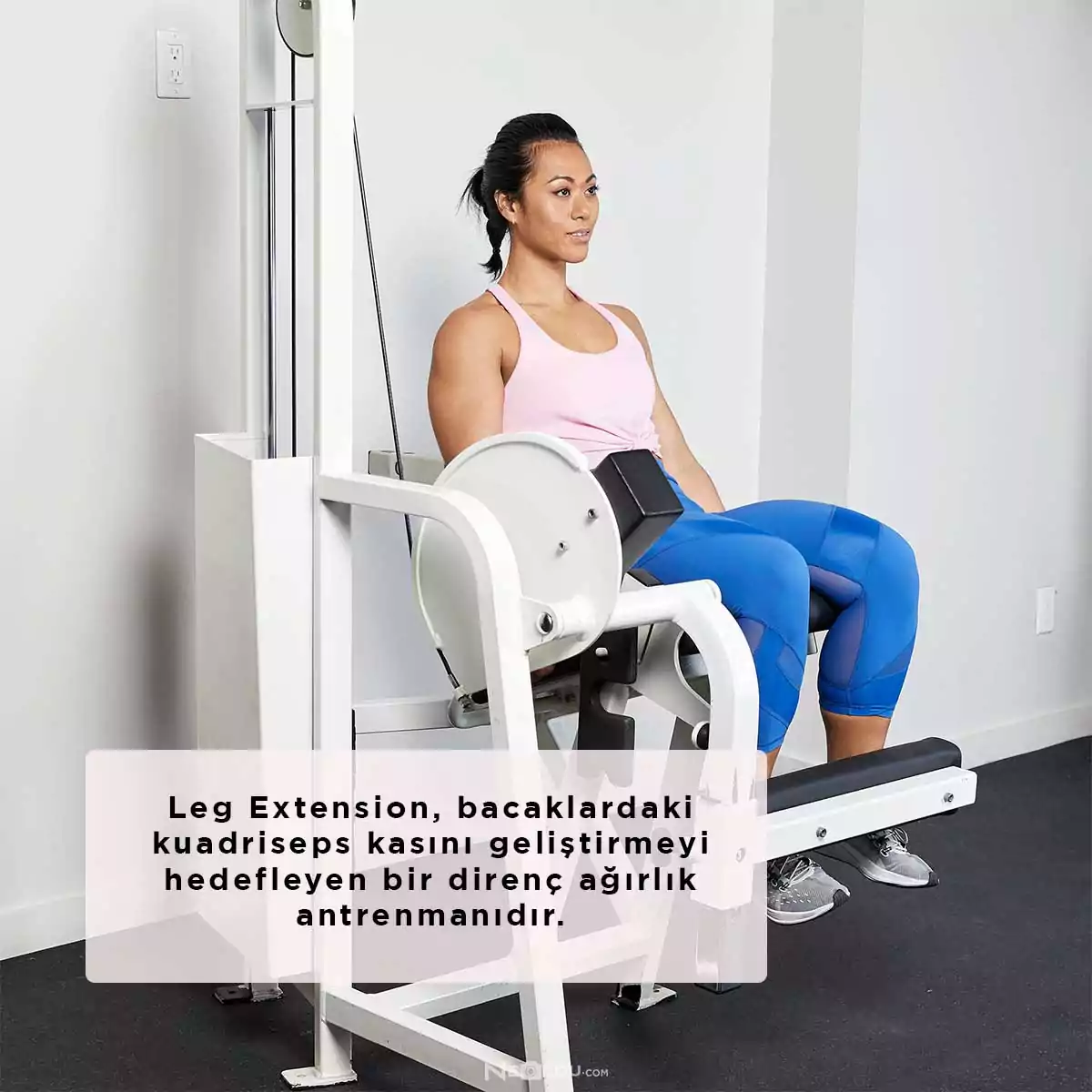 Leg Extension Üst Bacak Çalışma Aleti