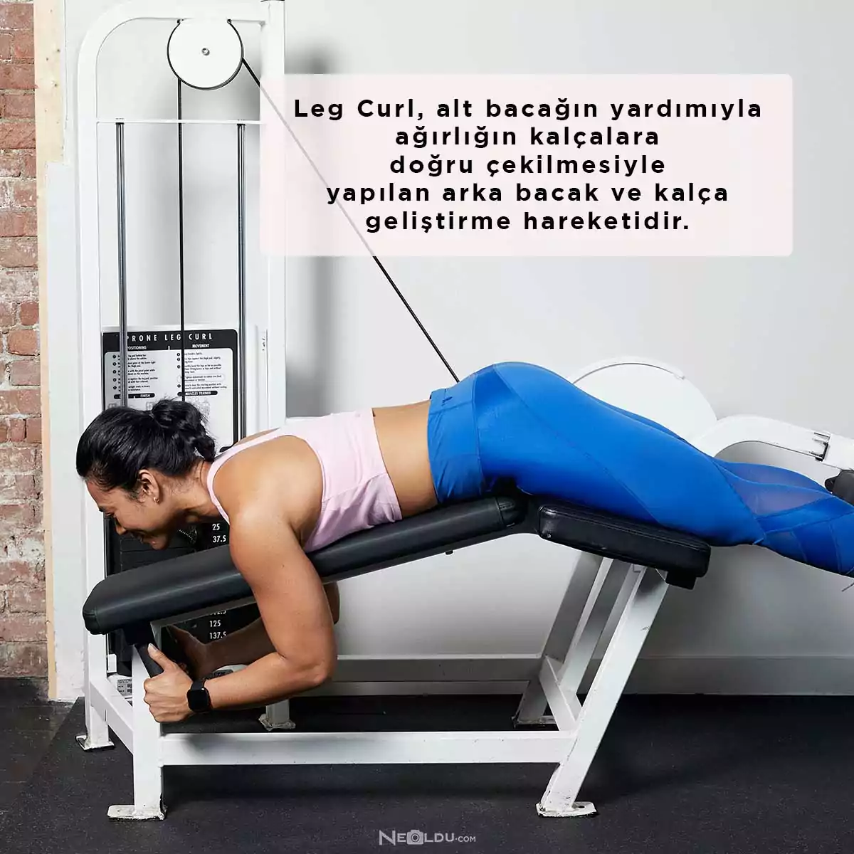 Leg Curl Arka Bacak Çalışma Aleti