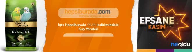 Kuş Yemleri