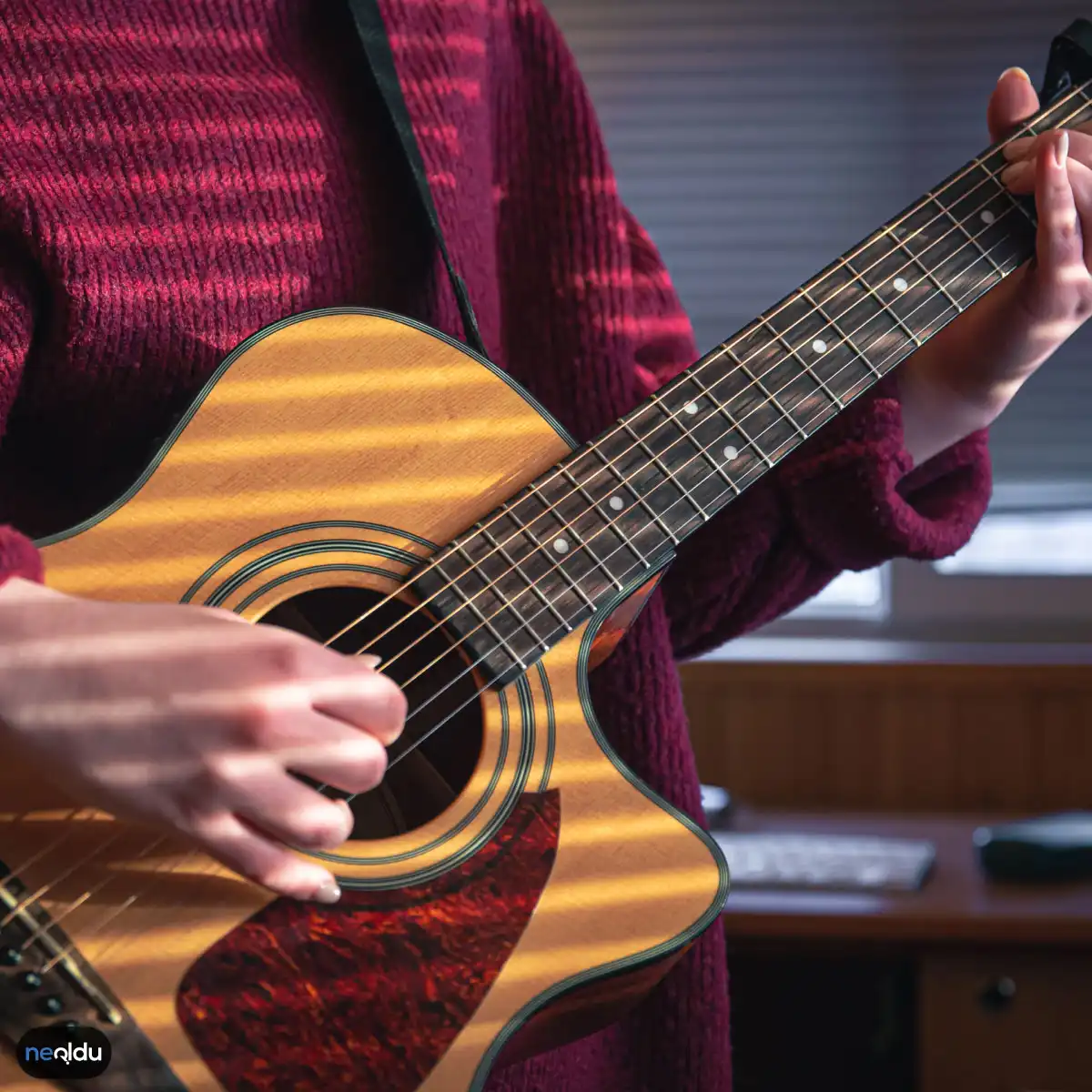 Gitar Hakkında Bilinmesi Gerekenler