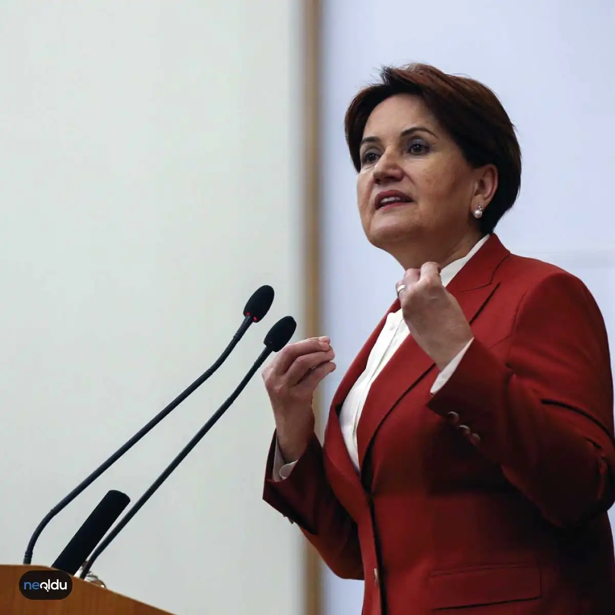 Meral Akşener Kimdir?