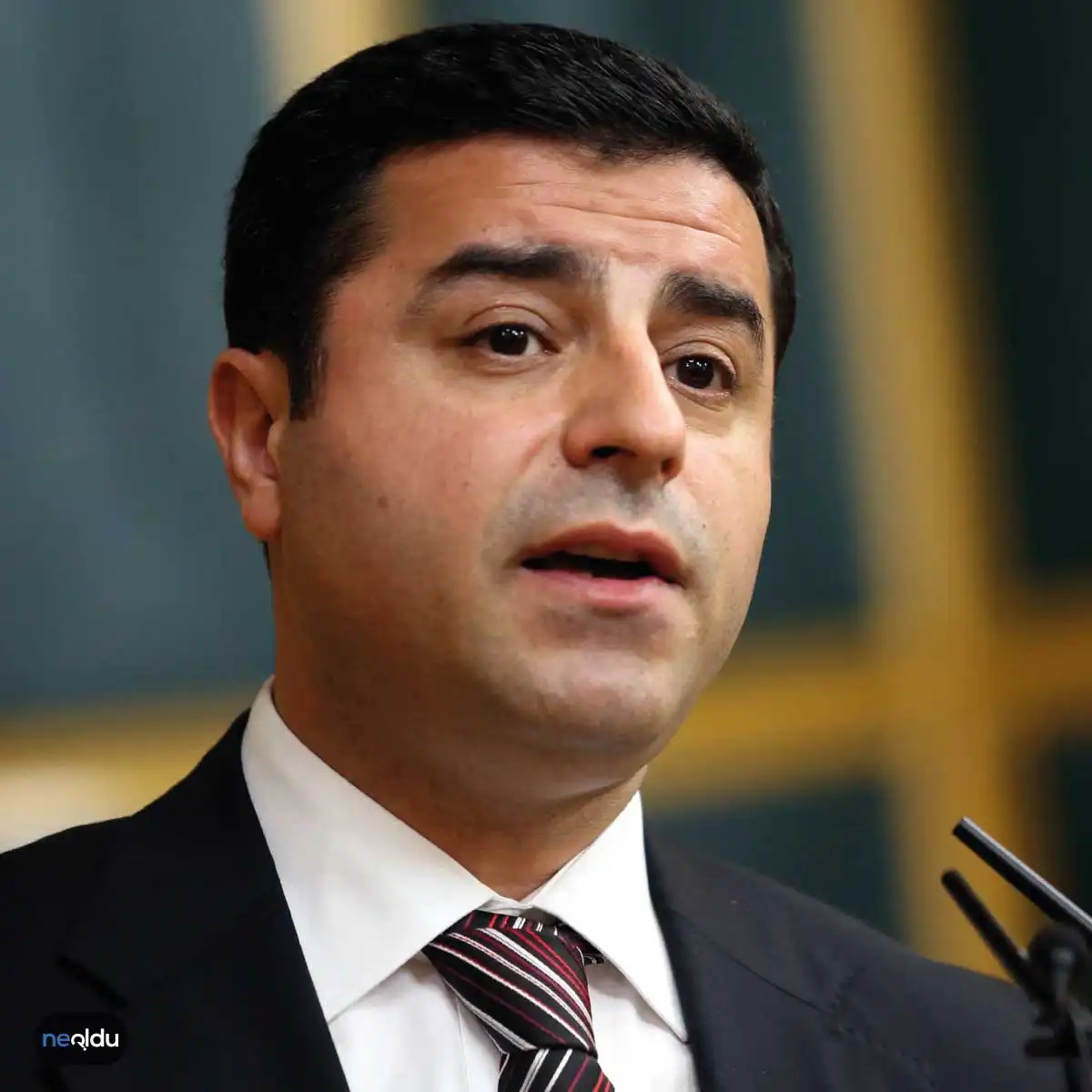 Selahattin Demirtaş Kimdir?