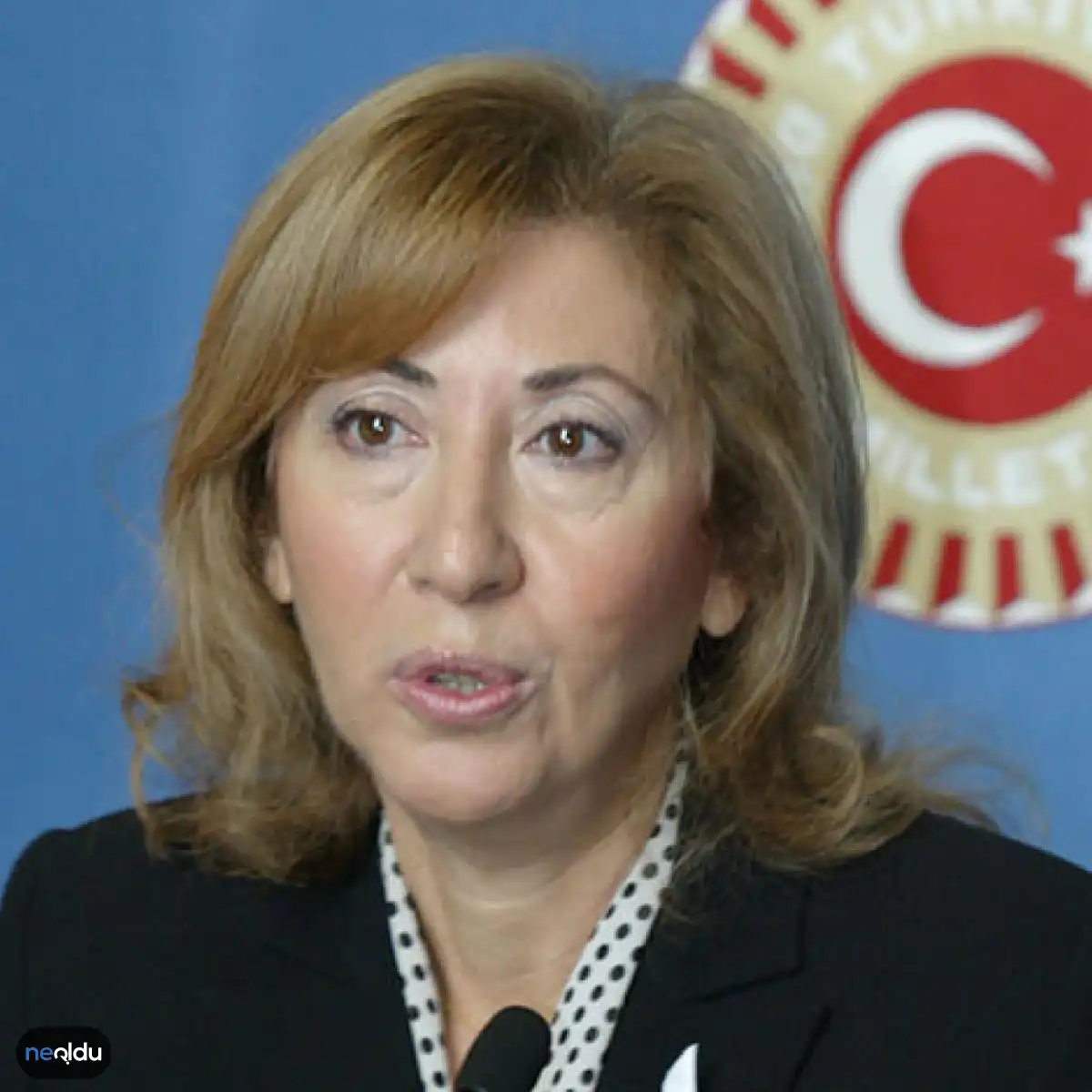 Ayşe Gülsün Bilgehan Kimdir?