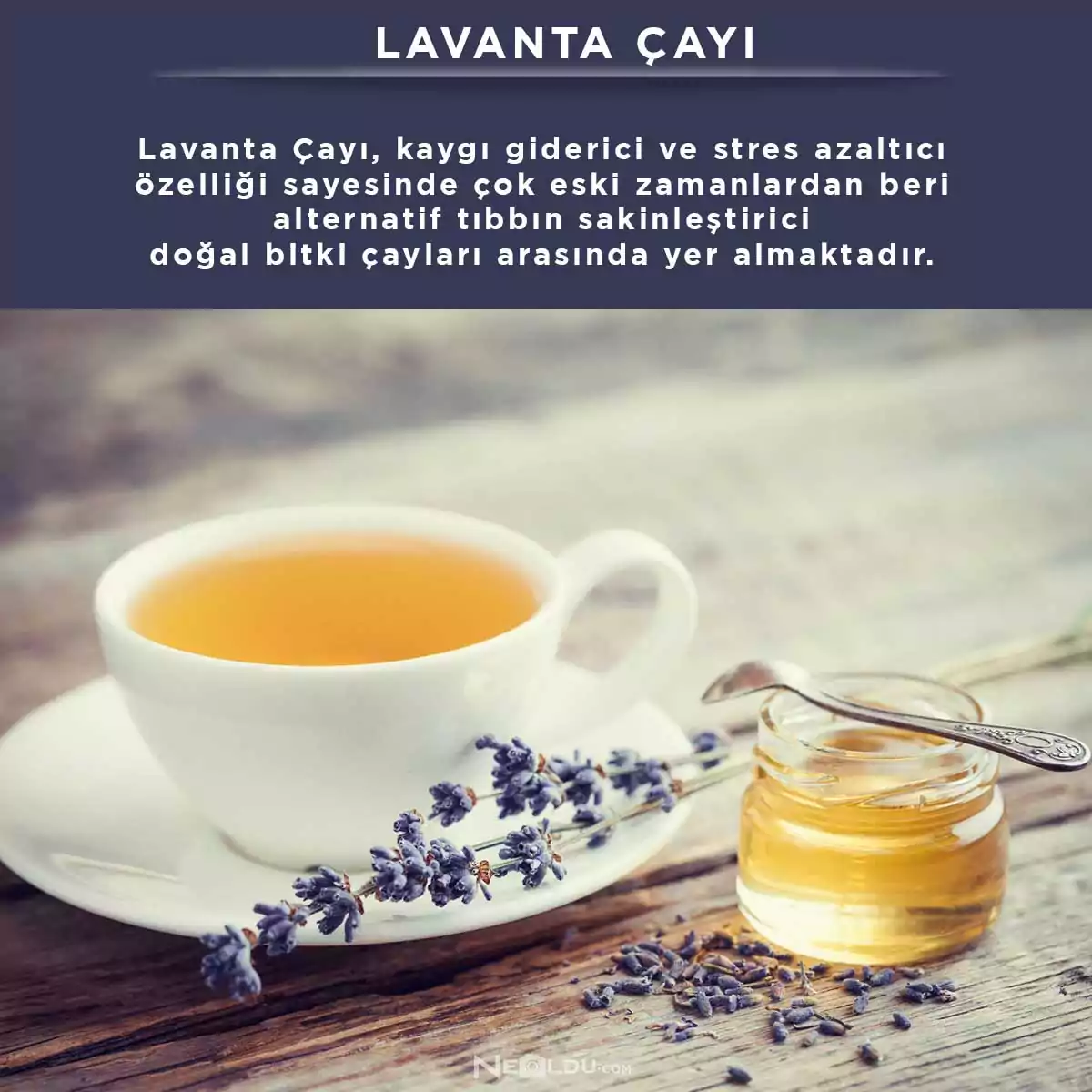 Lavanta Çayı