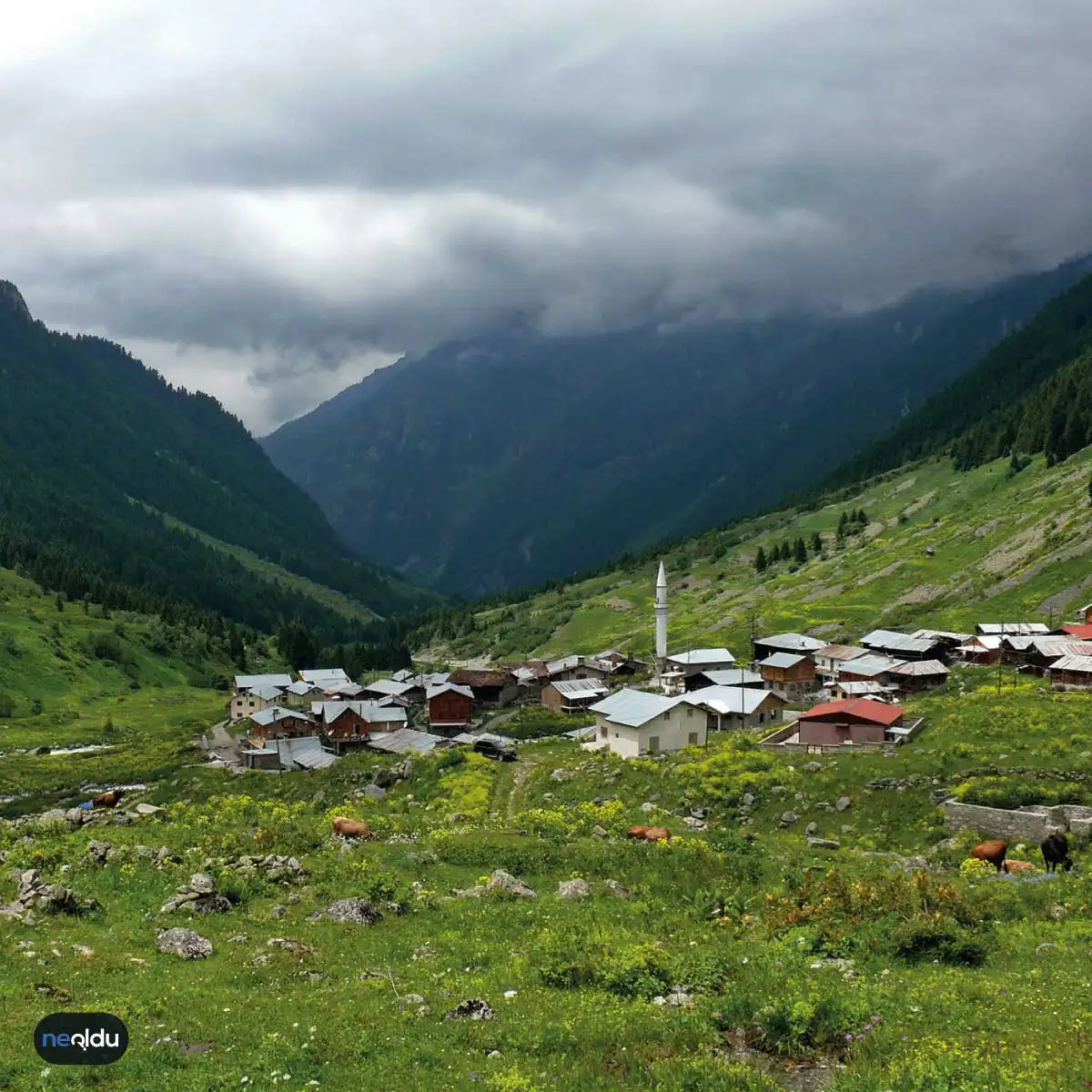 Rize Hakkında Bilinmesi Gerekenler