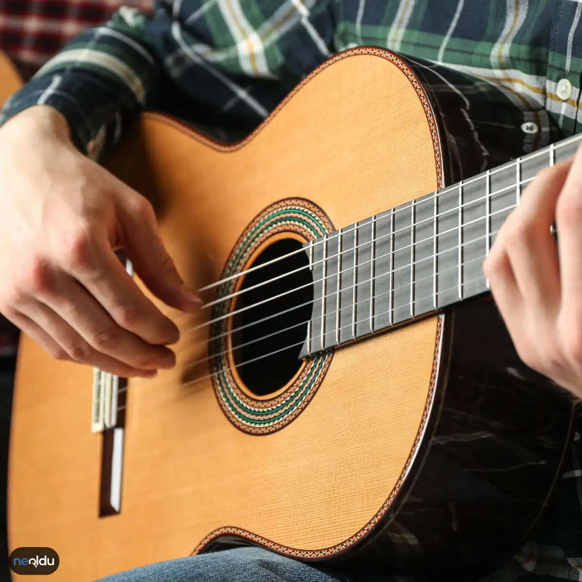 Gitar Hakkında Bilinmesi Gerekenler