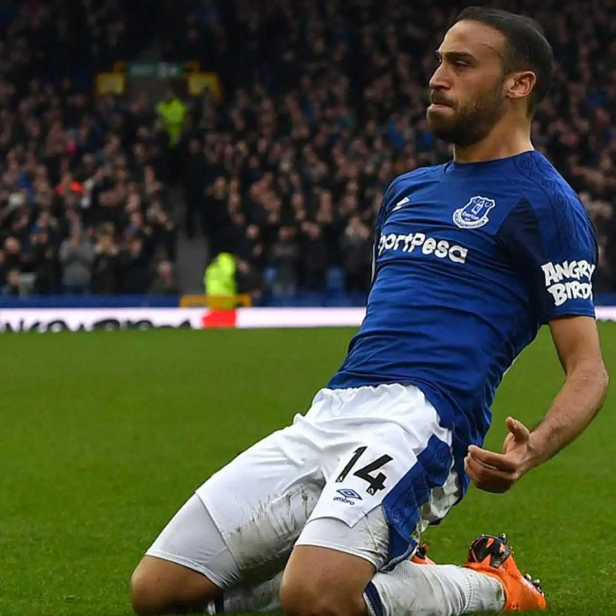 cenk-tosun-besiktas-everton.webp