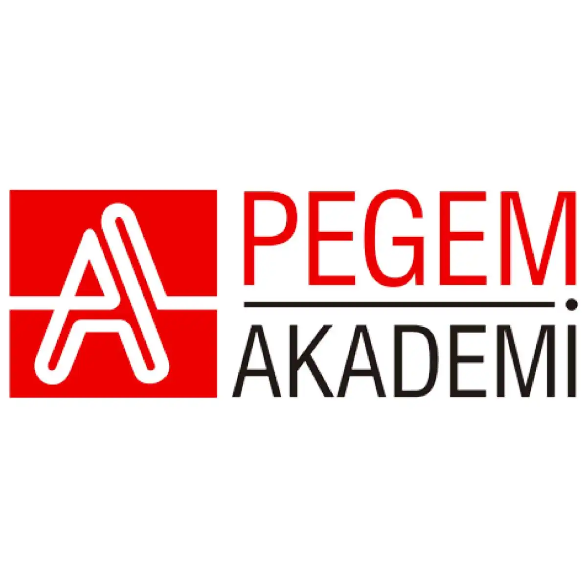 pegem-dershanesi.webp