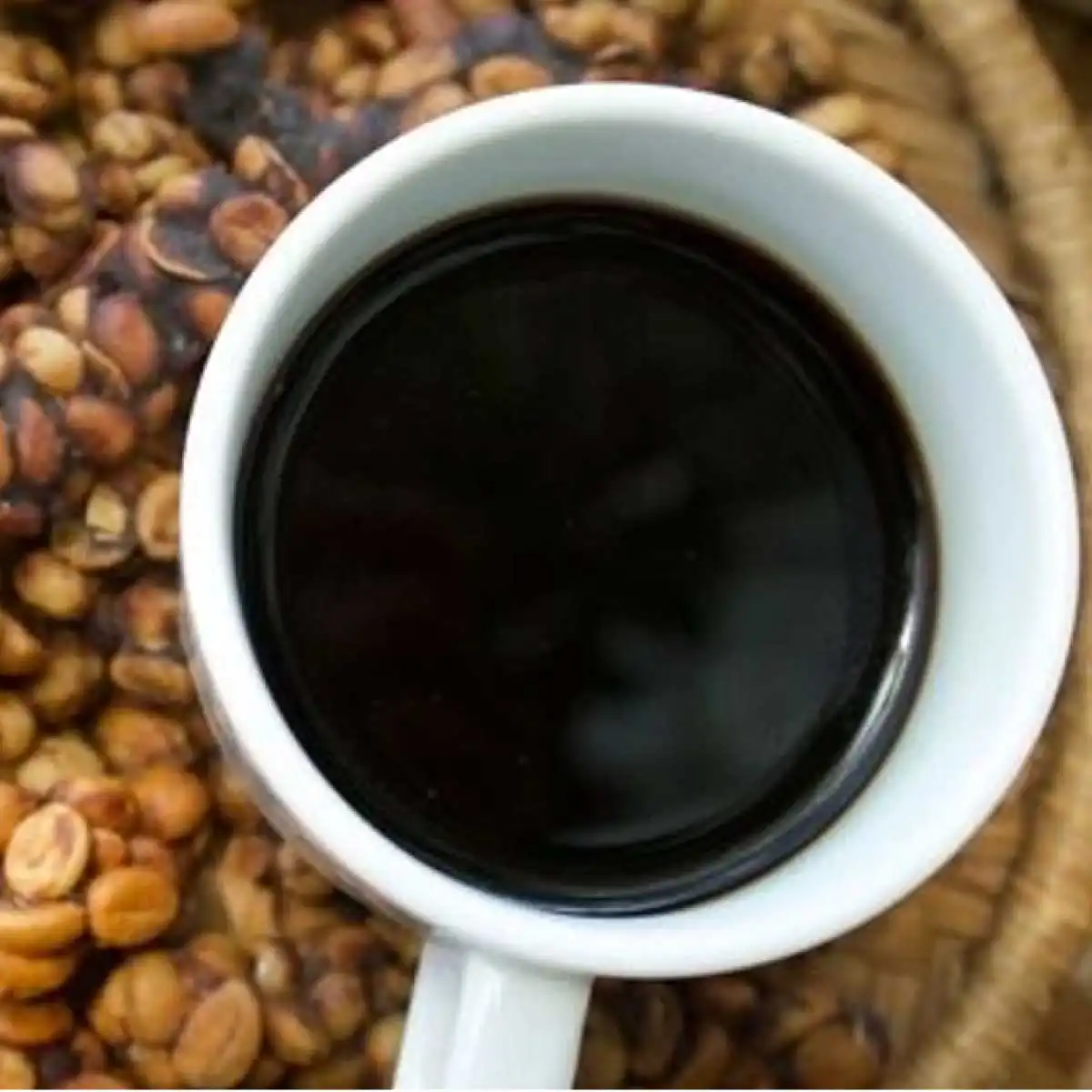 kopi-luwak-kahvesi-005.webp