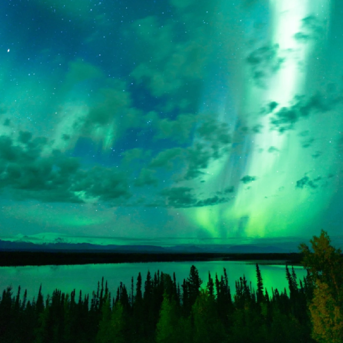 Güney Işıkları Olarak Bilinen Aurora Australis Hakkında