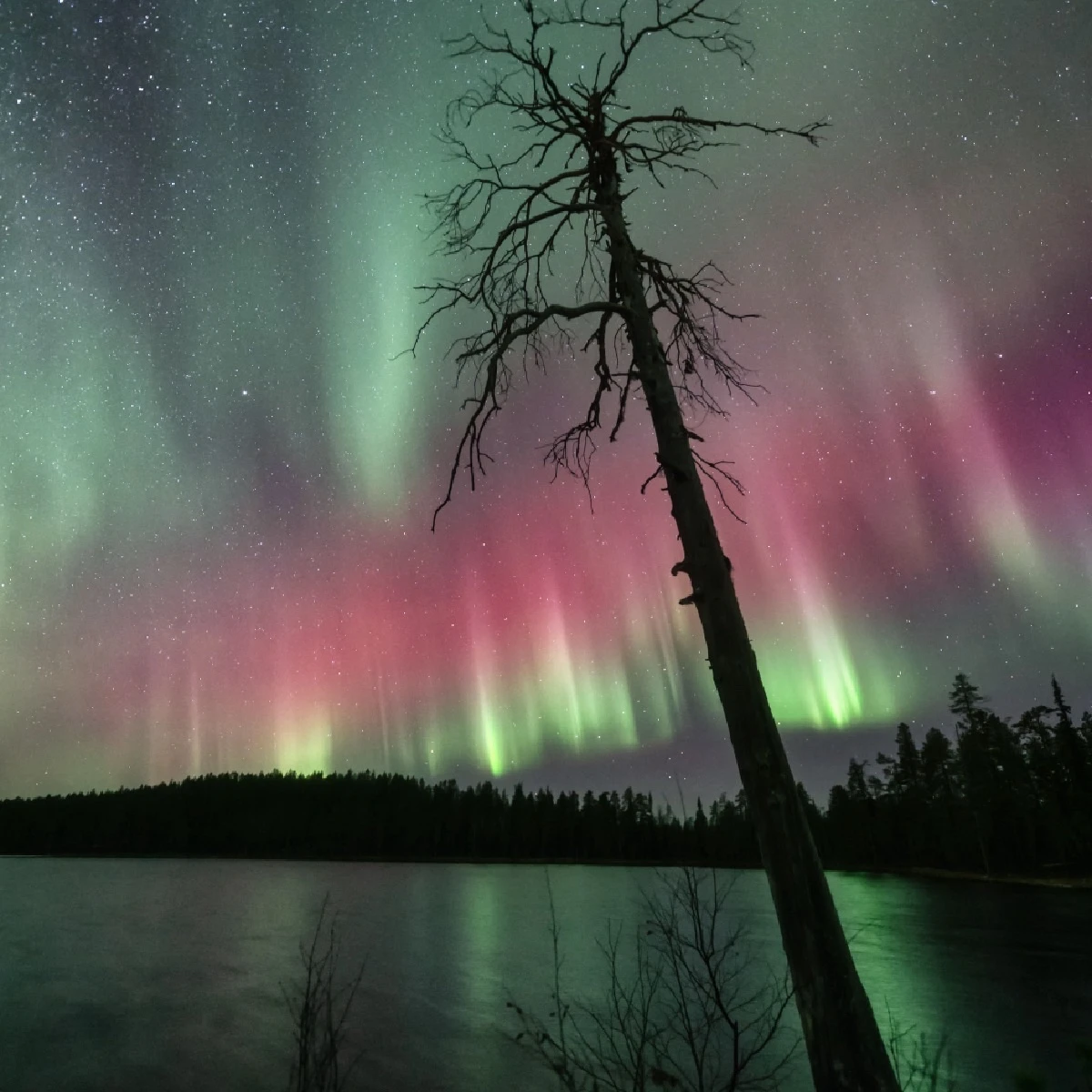 Güney Işıkları Olarak Bilinen Aurora Australis Hakkında