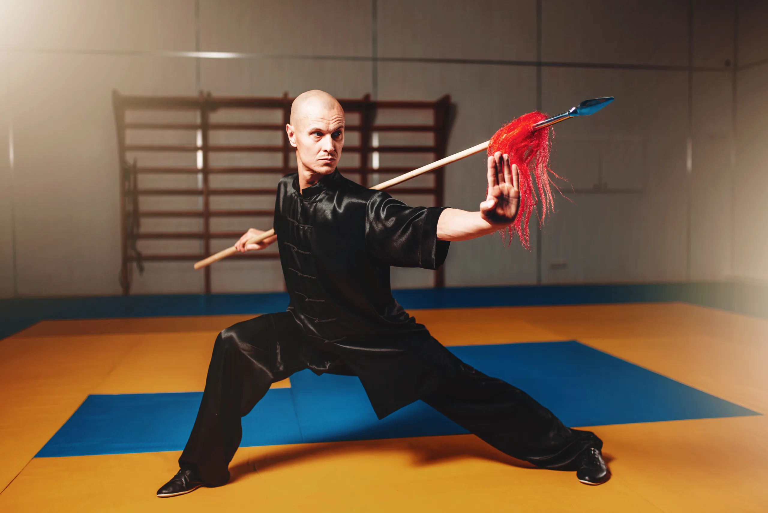 wushu-dovus-sanati-nedir.webp