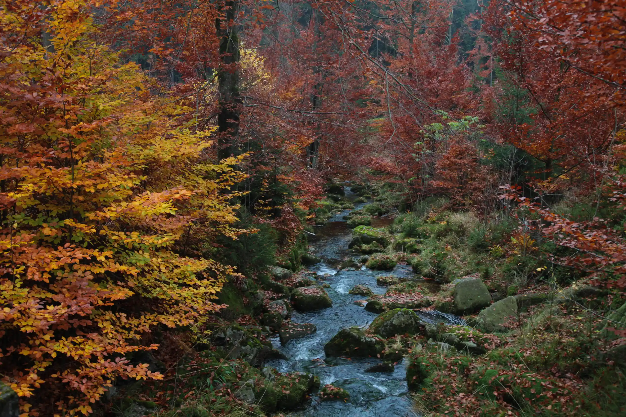 Türkiye'nin En İyi Trekking Rotaları