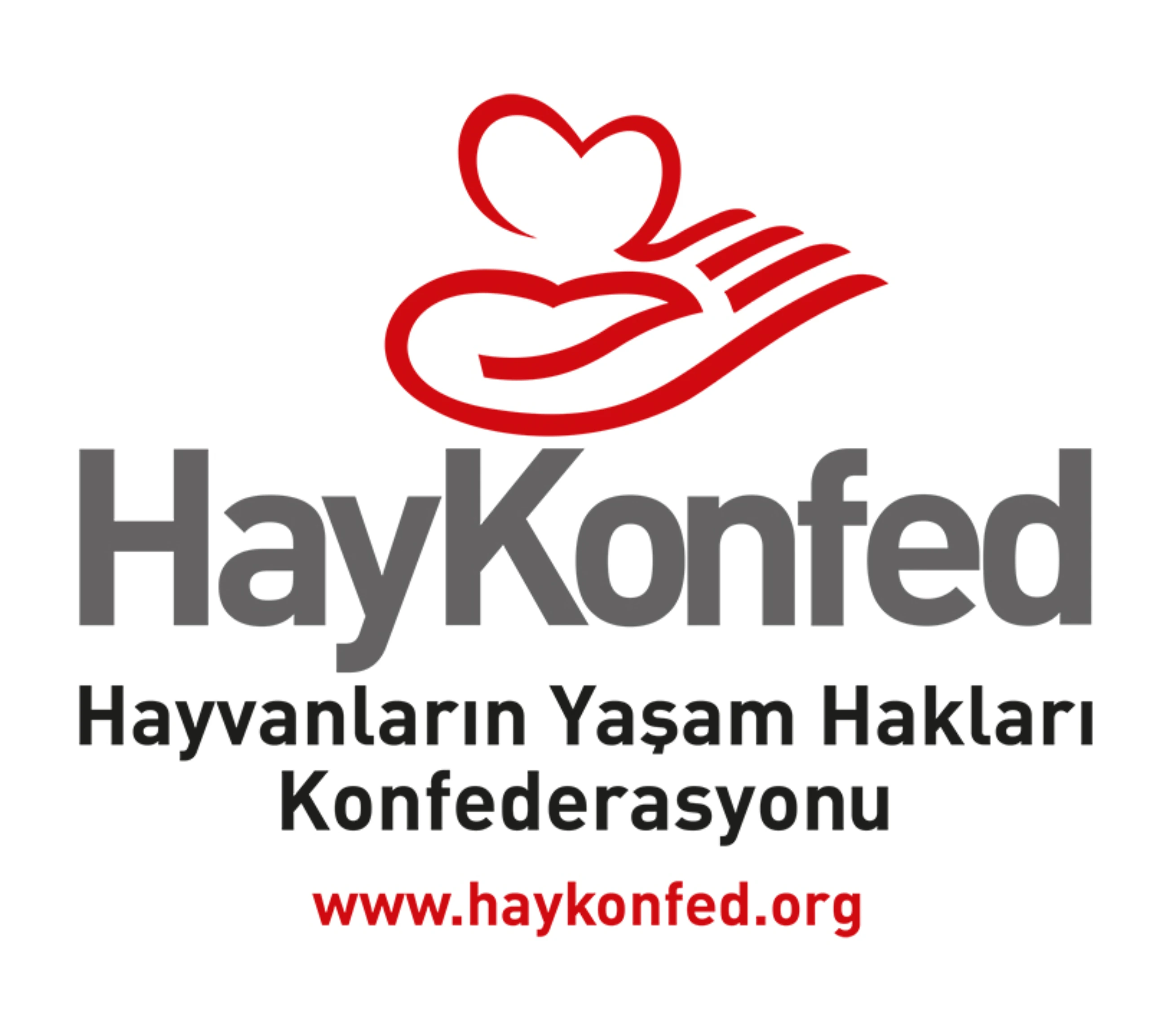 Hayvan Hakları İçin Mücadelede Eden Örgütler